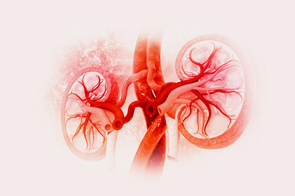 WHAT HAPPENS IF OUR KIDNEY HEALTH DETERIORATES?